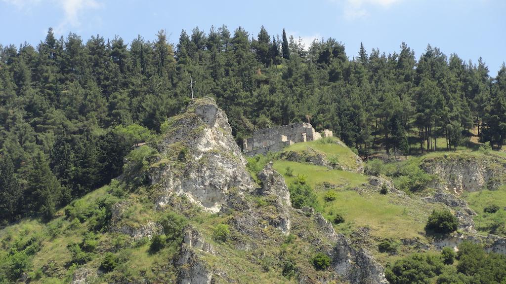 Hotel Kastro Sérvia Екстериор снимка